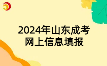 山東成考