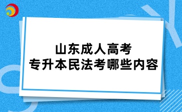 山東成人高考專升本民法